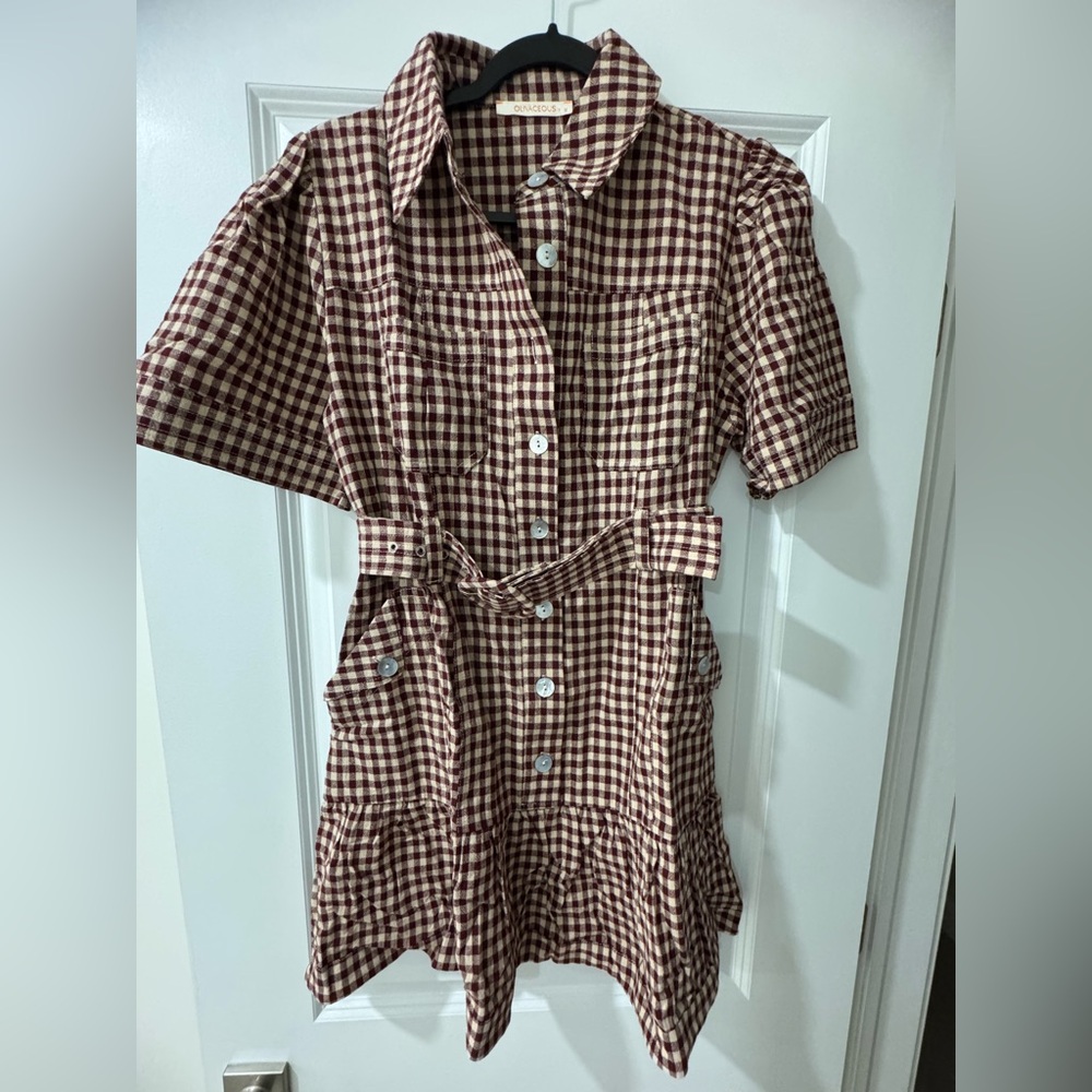 Olivaceous Brown Checkered Dress